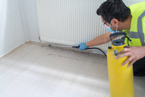 Best Pest Inspection Near Me  in Cairo, IL